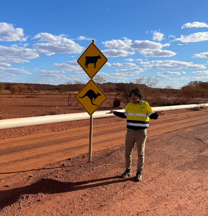 careers_kangaroo-crossing